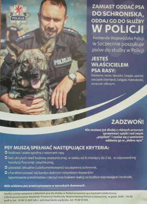 „Zamiast do schroniska, oddaj do psa do policji”